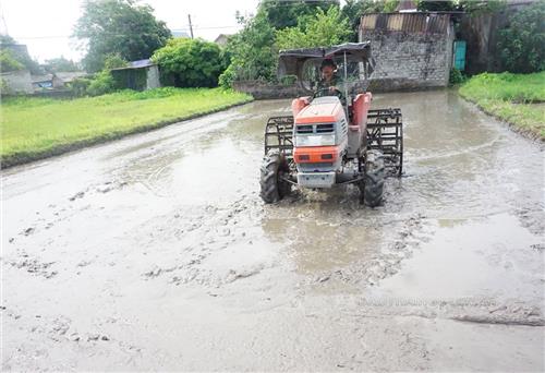 “Giữ nhịp” sản xuất vụ mùa