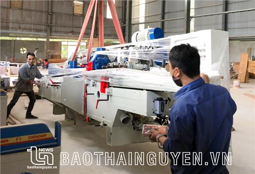 Phát triển bền vững ngành chế biến gỗ