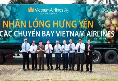 Vietnam Airlines đưa đặc sản nhãn lồng Hưng Yên lên các chuyến bay