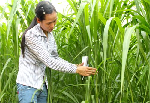 “Phải thật chuyên tâm mới có thể thành công”