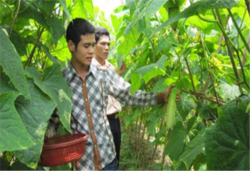 Chung lòng xây dựng cuộc sống ấm no