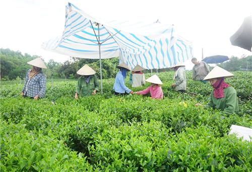 Duy trì sản xuất trong nắng nóng