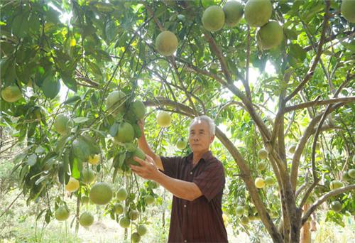 Phát huy vai trò hạt nhân của người có uy tín trong cộng đồng