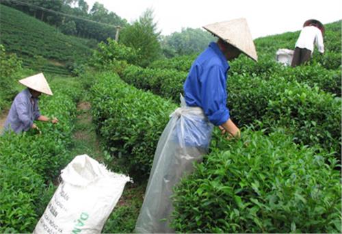 Giàu lên nhờ có Hội