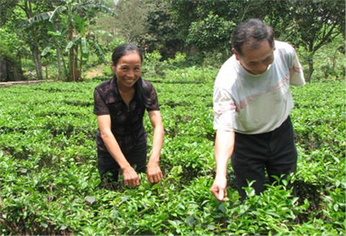 Cả nhà cùng học Bác