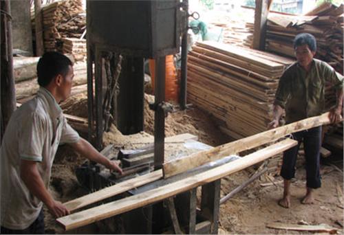 “Đứng dậy” sau “vấp ngã”