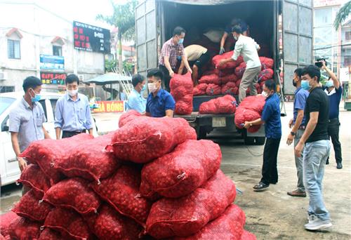 Hỗ trợ tiêu thụ trên 22 tấn hành tím cho nông dân Sóc Trăng