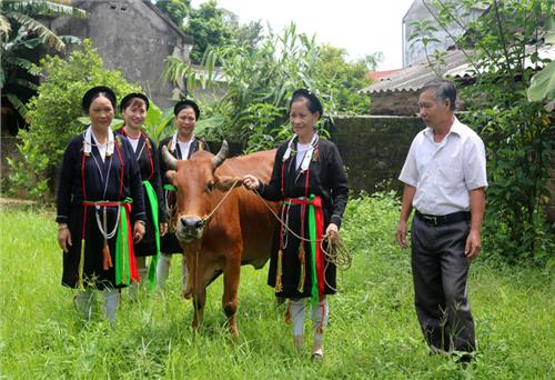 Hết lòng vì việc chung
