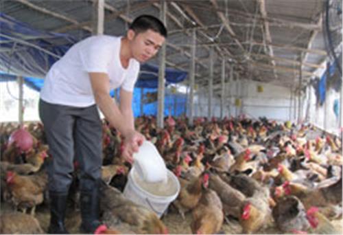Chuyện về ông chủ 8X trên vùng đất nghèo