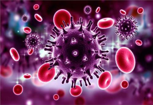 Tác động của virus HIV tới hệ thống miễn dịch trẻ