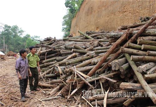 Khó đầu ra, nhiều cơ sở chế biến gỗ “thoi thóp”