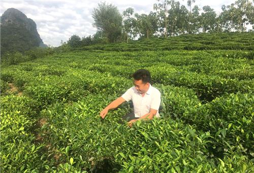 Người Bí thư “nói dân nghe, làm dân tin”