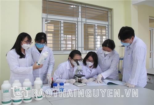 Khơi dậy nguyên khí của quốc gia