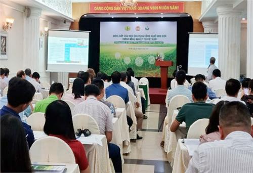 Diện tích canh tác ngô công nghệ sinh học ở Việt Nam khoảng 92.000ha 