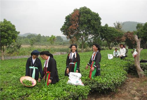 Góp phần nâng cao đời sống đồng bào dân tộc thiểu số