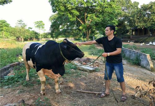 Toàn tỉnh có gần 36.800 hộ nghèo, cận nghèo
