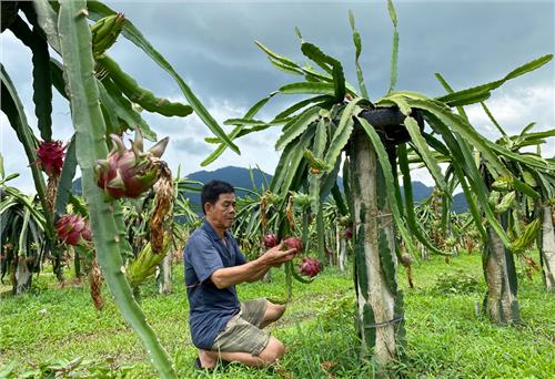 Hỗ trợ người dân tiêu thụ nông sản