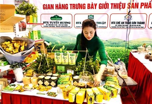 Triển khai Chương trình đào tạo “Giám đốc hợp tác xã nông nghiệp”