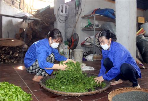 Phát triển nông thôn từ kinh tế tập thể