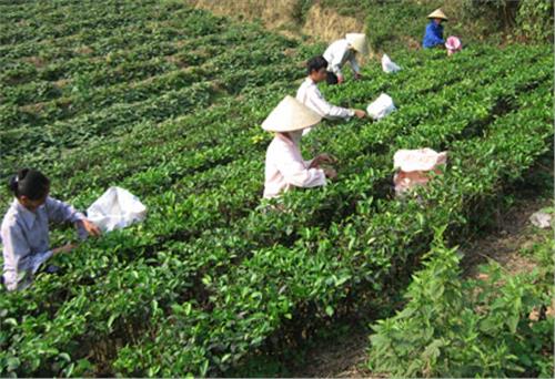 Chủ động gánh vác trách nhiệm