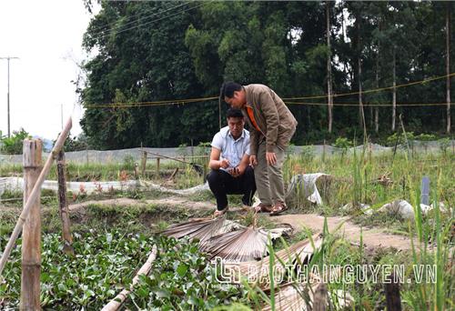 “Thủ lĩnh” nông dân miền sơn cước