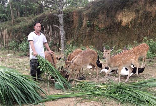 Không ngừng mở rộng quy mô chăn nuôi