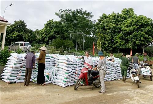 Triển khai mô hình sản xuất chè theo hướng hữu cơ