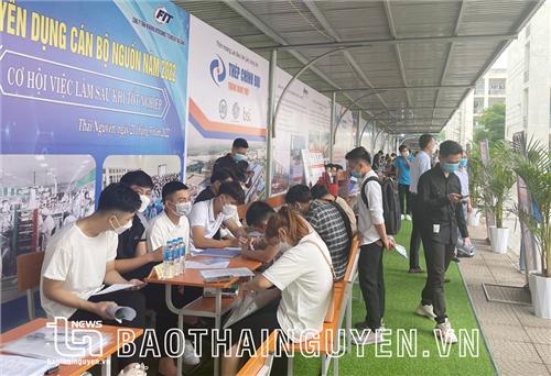 Kết nối doanh nghiệp, tạo việc làm cho sinh viên
