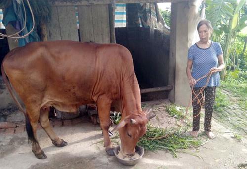 Trao “cần câu” giúp hội viên thoát nghèo