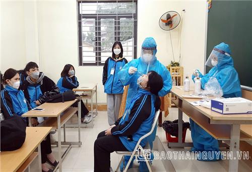 Đại học Y-Dược Thái Nguyên: Hàng trăm sinh viên tình nguyện hỗ trợ phòng, chống dịch