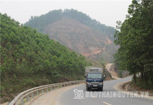 “Luồng gió mới” từ con đường mang tên Bác