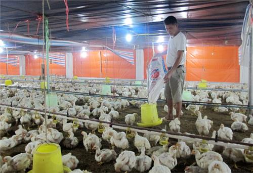 Sử dụng hiệu quả vốn vay giải quyết việc làm
