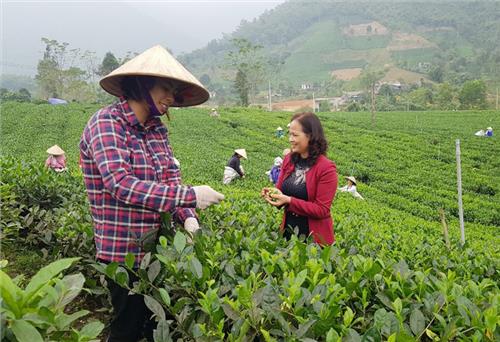 Tạo điều kiện đầu tư phát triển nông nghiệp bền vững