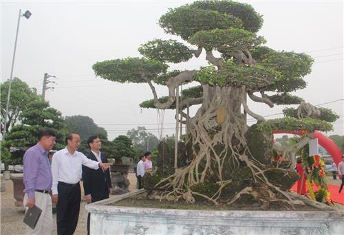  Triển lãm Sinh vật cảnh - tranh - đá quý
