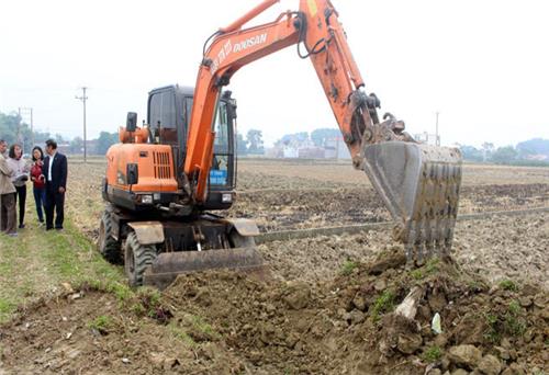 Xây dựng cánh đồng mẫu lớn ở Phú Bình - Còn lắm gian nan: Cần có “bà đỡ” để thành công (Kỳ 2)