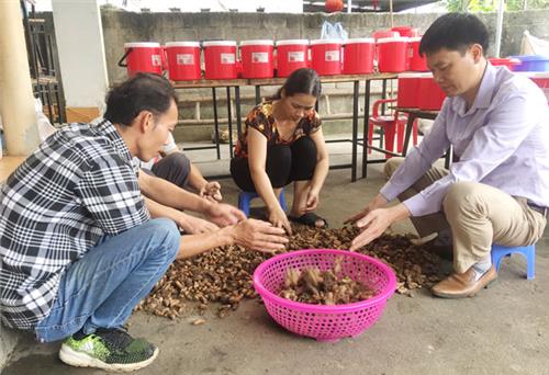 Theo đuổi khát vọng làm giàu từ nông nghiệp