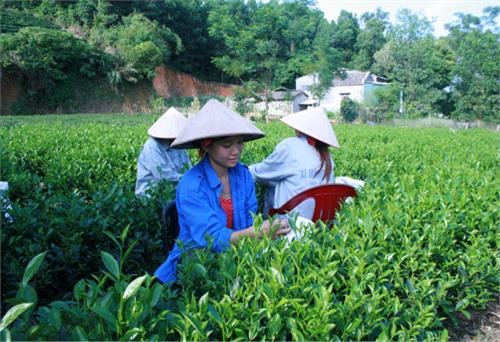 Ngành Công Thương sẵn sàng cho ngày hội lớn