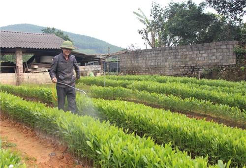 Đại Từ: Chuẩn bị trồng rừng vụ xuân