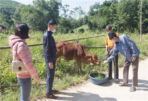 Thiết thực giúp nông dân vùng cao thoát nghèo