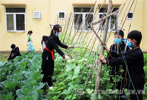 Xây dựng vùng an toàn trong trường nội trú