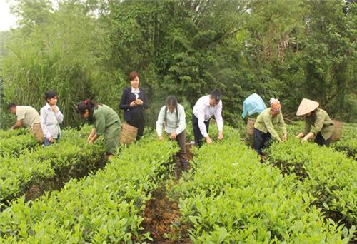 Văn Hán bứt phá để về đích