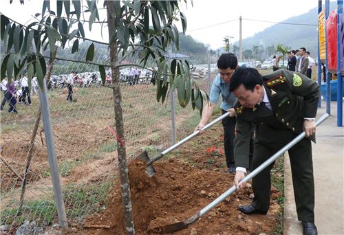Phát động Tết trồng cây