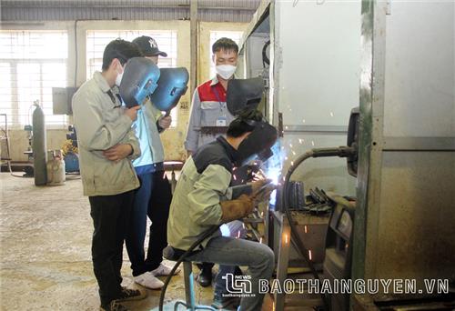 Đào tạo nghề gắn với thị trường lao động
