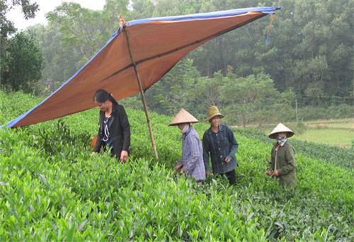 Hội thảo về chỉ dẫn địa lý “Tân Cương”