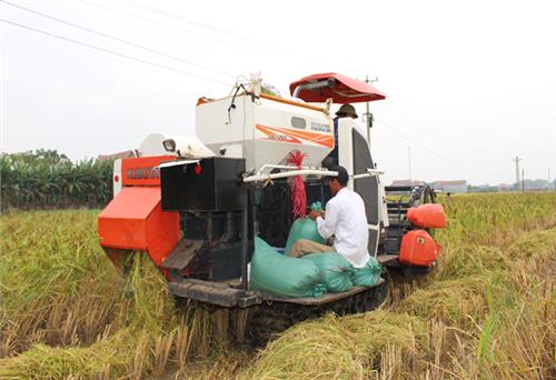 Xây dựng cánh đồng mẫu lớn ở Phú Bình - Còn lắm gian nan: “Đốt đuốc tìm đường” (Kỳ 1)