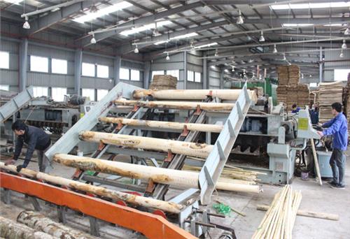 Chuẩn bị đưa dây chuyền sản xuất ván ép quy mô lớn vào hoạt động