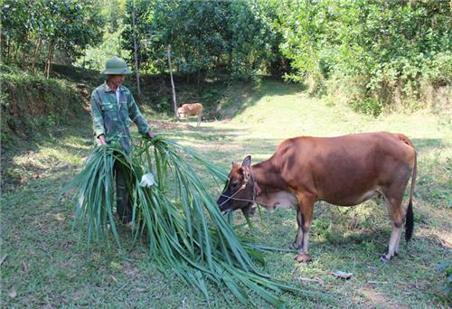 Yên Trạch chú trọng nâng cao thu nhập cho người dân 