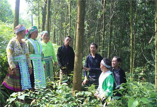 Mùa Xuân lên đồi