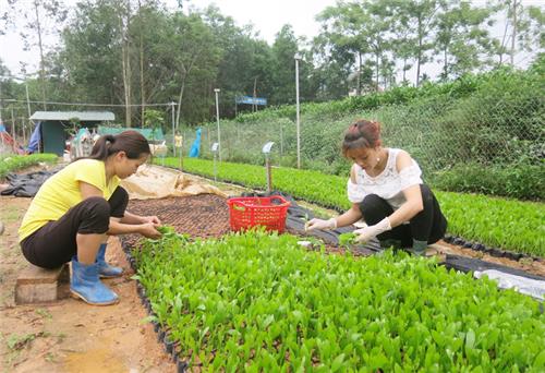 Đổi mới, nâng cao chất lượng sinh hoạt chi bộ ở Phú Lương