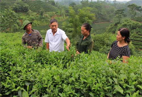 Đồng lòng thực hiện nhiệm vụ chung
